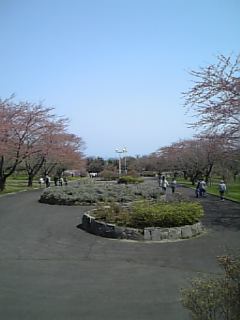 image/liner-2007-05-03T11:51:25-1.jpg