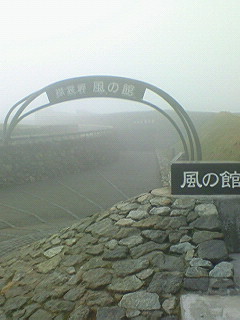NEC_0446.jpg