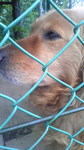090608_154301.jpg