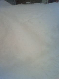 201003170846000.jpg