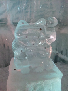 100320_201129.jpg