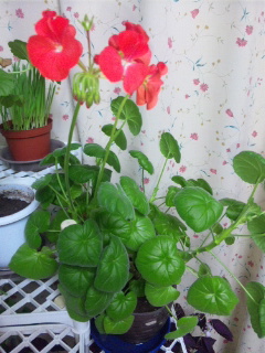 110406_180110.jpg