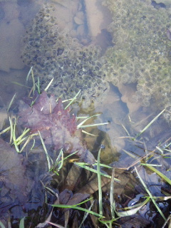 110507_084603.jpg
